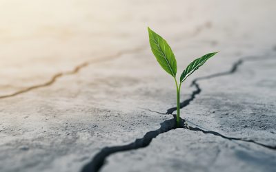 Wenn der körper leise schreit